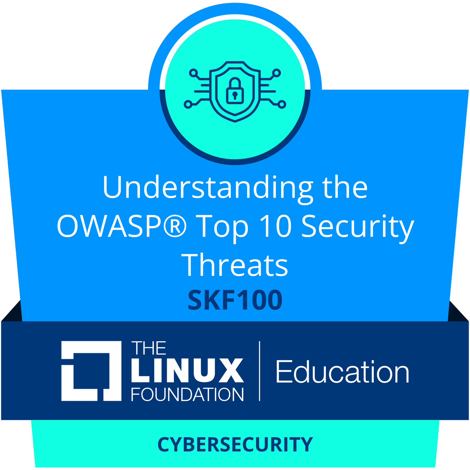 SKF100 - Understanding the OWASP Top 10 badge